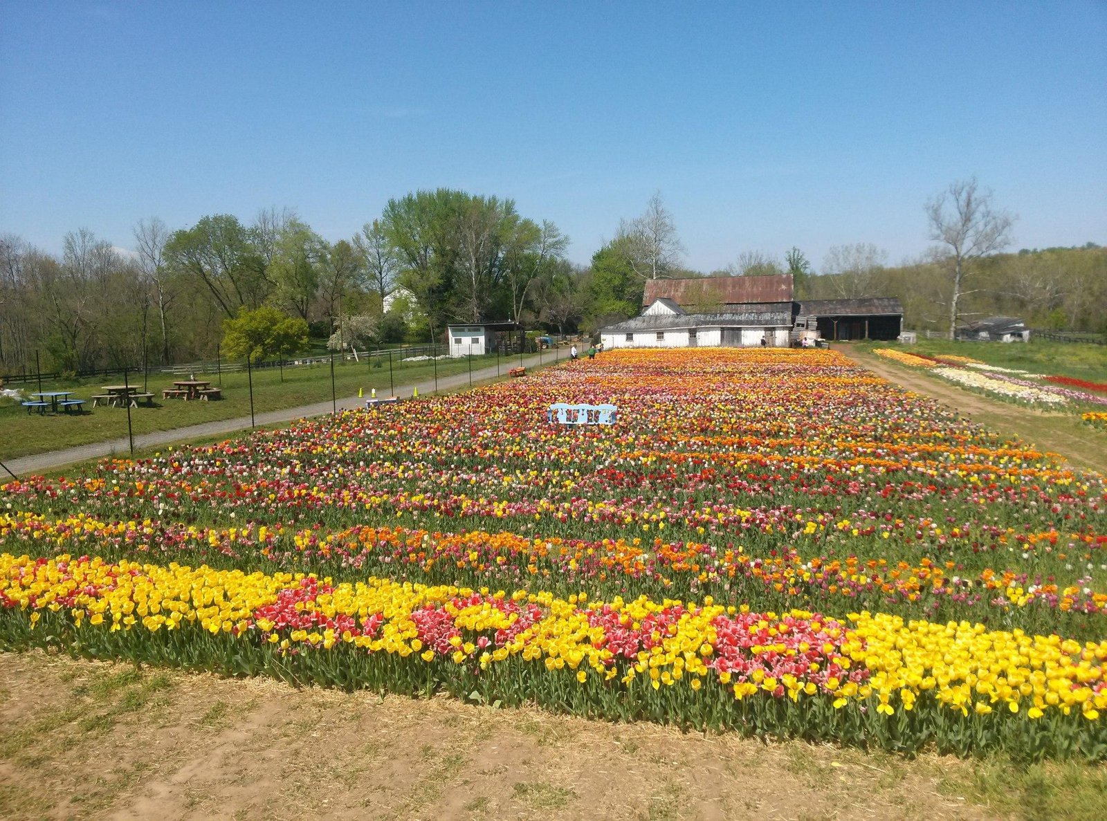 11008 Kettle Run Rd Nokesville Va